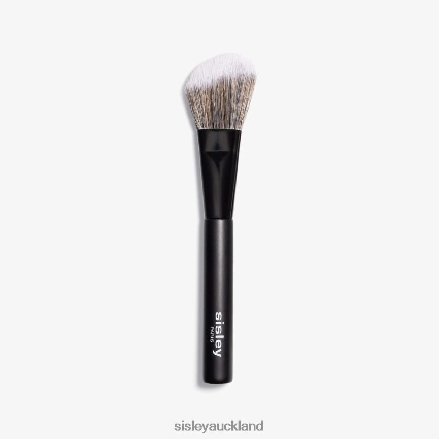 CA Sisley Paris Blush Brush F62J6166 Makeup